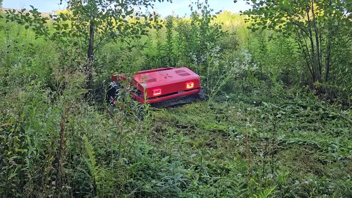 Robot na strmem bregu (video)